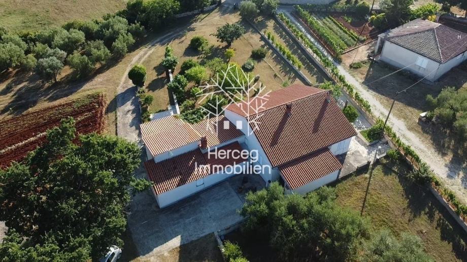 KRNICA - Imanje sa kućom i 2000m2 zemljišta (prodaja)