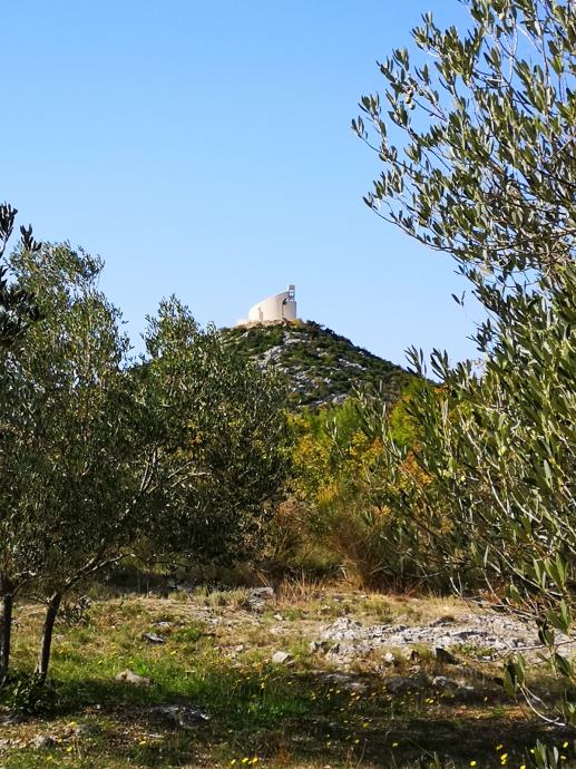 Maslinik, poljoprivredno zemljište, Vodice