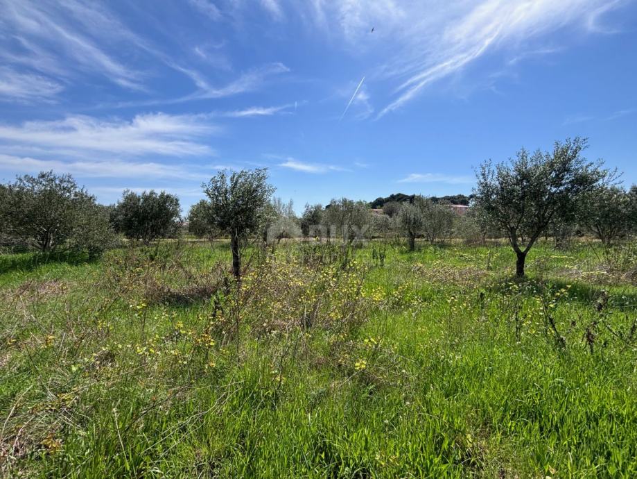 OTOK PAŠMAN, DOBOPOLJANA - Građevinsko zemljište s pogledom na more