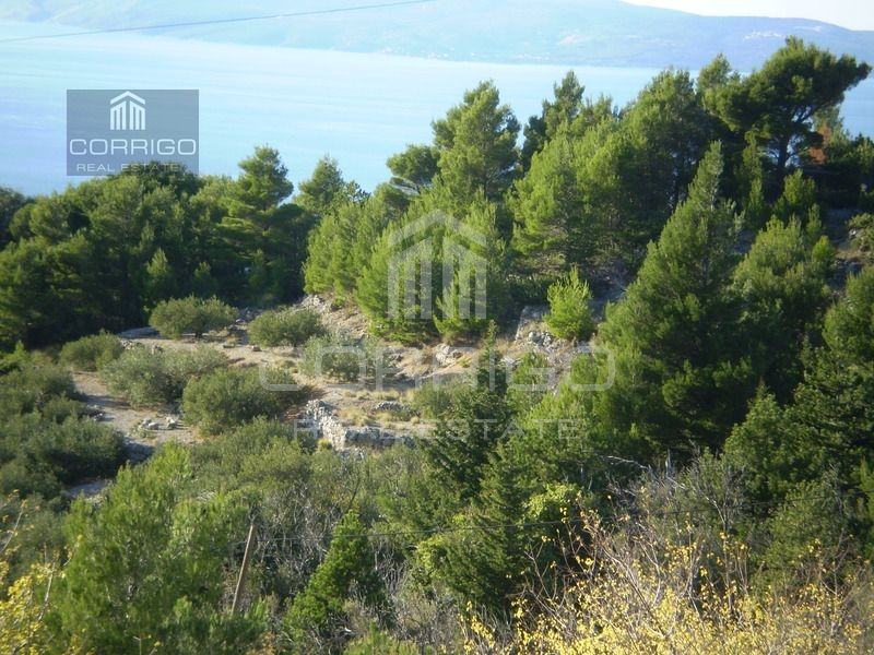 Podgora, poljoprivredno zemljište 1249 m2