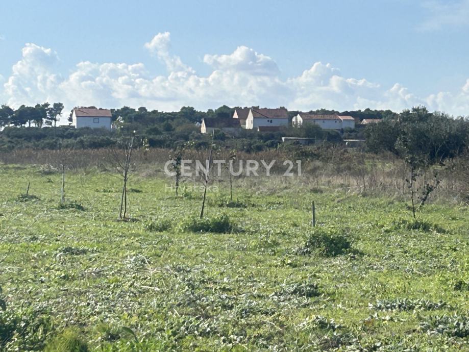 Poljoprivredno zemljište Biograd prodaja