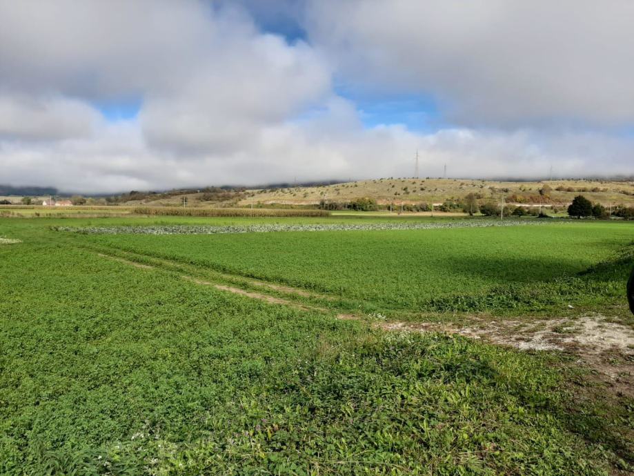 Poljoprivredno zemljište Brlog, Lika, 3890 m2