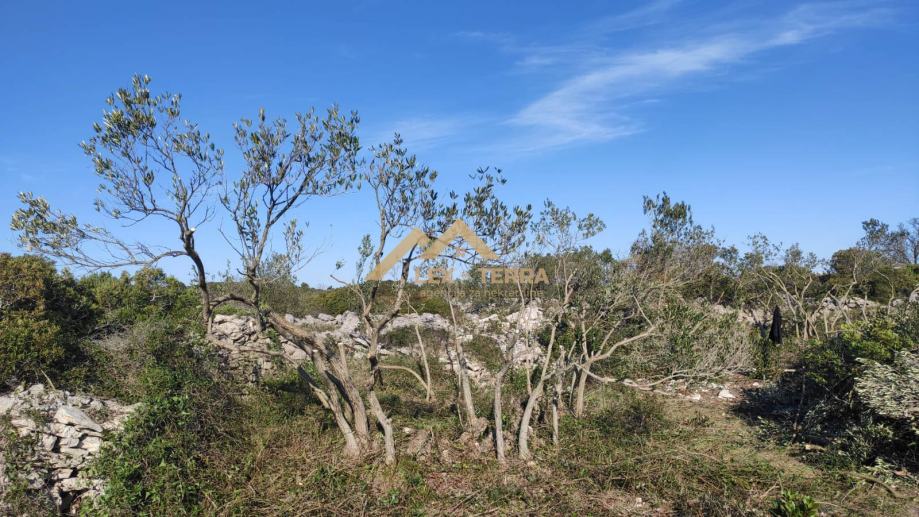 Poljoprivredno zemljište, Gornje Selo, 3700 m2