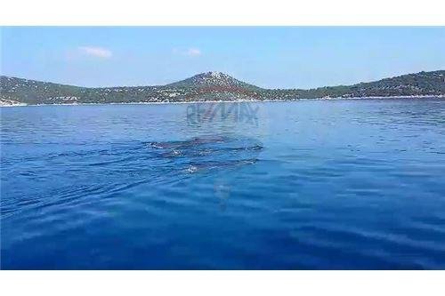 Poljoprivredno zemljište uz more, Otok zmajan, 37730 m2 199.000€