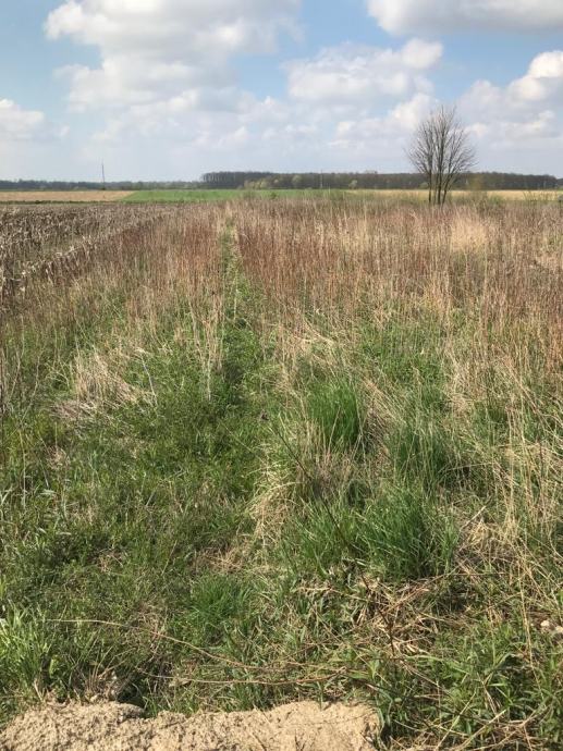 PRODAJEM!!!  Poljoprivredno zemljište, Velika Ostrna, 9208 m2