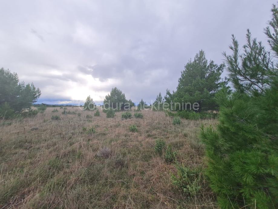 Privlaka - građevinsko zemljište 2578 m2