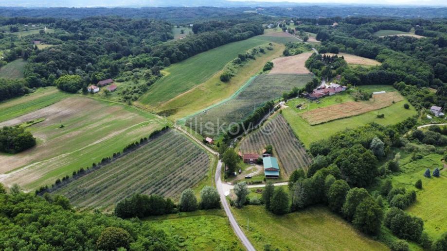 Prodaja, Sv. Ivan Zelina, Radoišće, imanje sa kućom i gosp. objektom (prodaja)