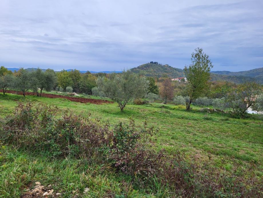 Prostrano zemljište na lijepoj lokaciji, okolica Buzeta