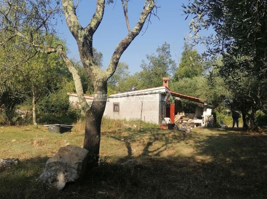 Rovinj, savršeno imanje za opuštanje i agroturizam