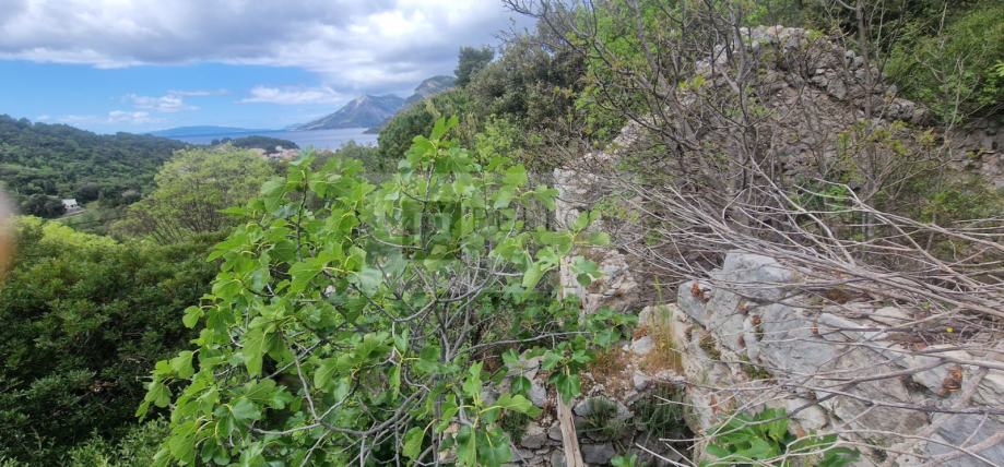 Ruševina s građevinskim zemljištem(121m2) ŽULJANA/PELJEŠAC (prodaja)