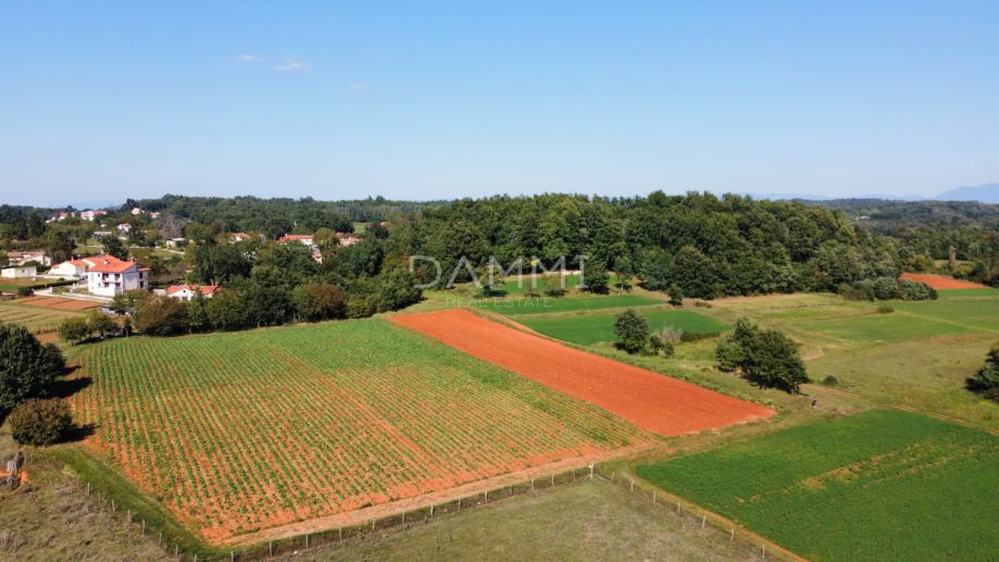 SREDIŠNJA ISTRA - Jedinstveni kompleks građevinsko poljoprivrednog zem