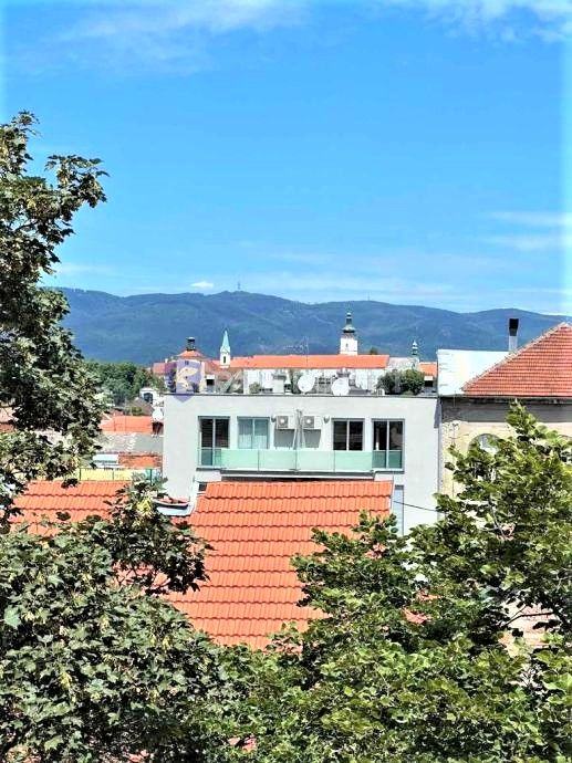 Stan / Stanovi Zagreb centar - dva ili više stanova (cijela etaža zgra (prodaja)