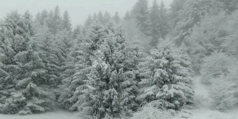 Teren sa ruševnom kućom u Prezidu