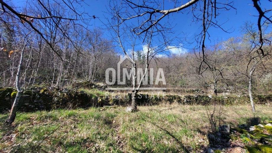 !Snižena cijena! VEPRINAC - Građevinsko zemljište, 3046 m2