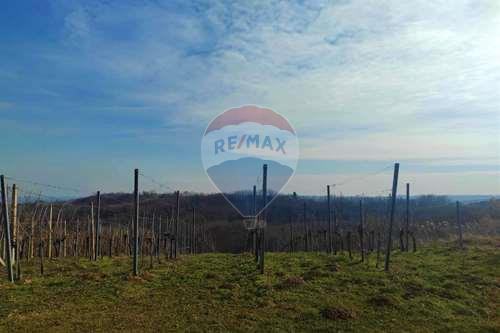 Vinograd,šuma i livada 2323 m2