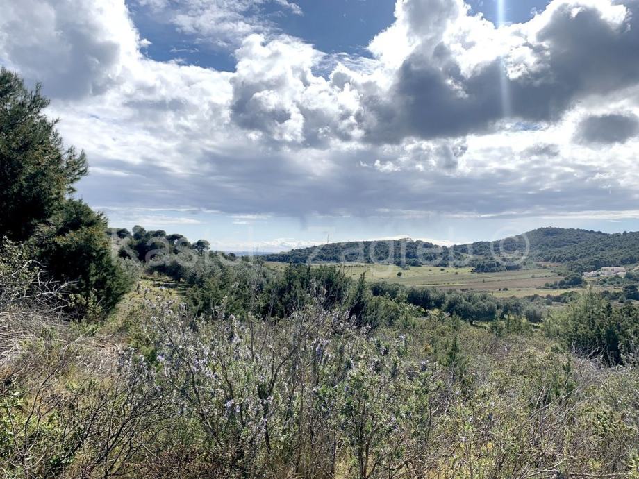 Vis, Stončica, zemljište, 13600 m2