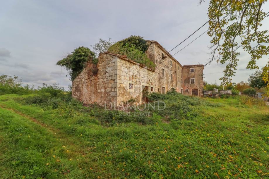 Vižinada, okolica, starina sa prostranim zemljištem (prodaja)