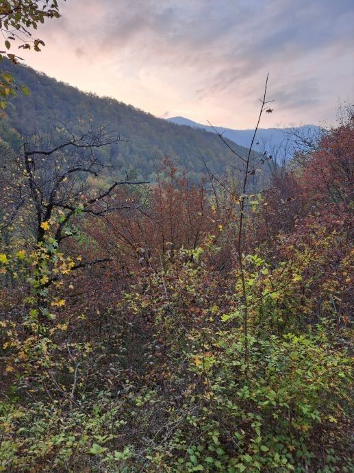 Bužim, građevinsko zemljište s temeljima stare kuće