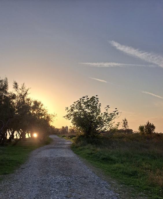 Starigrad, poljoprivredno zemljište na jako atraktivnoj lokaciji