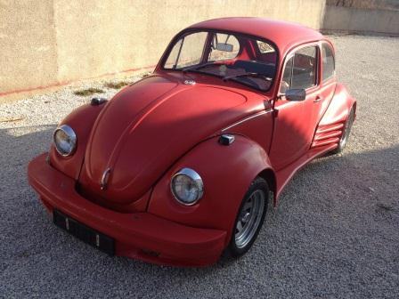 wv beetle