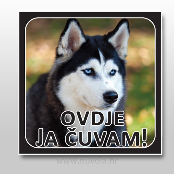 Tablice opasan pas Husky