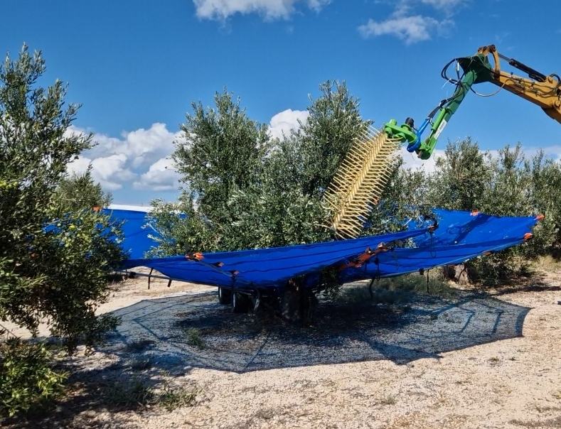 Mreža za berbu maslina BOSCO OlivSpeed 4x4