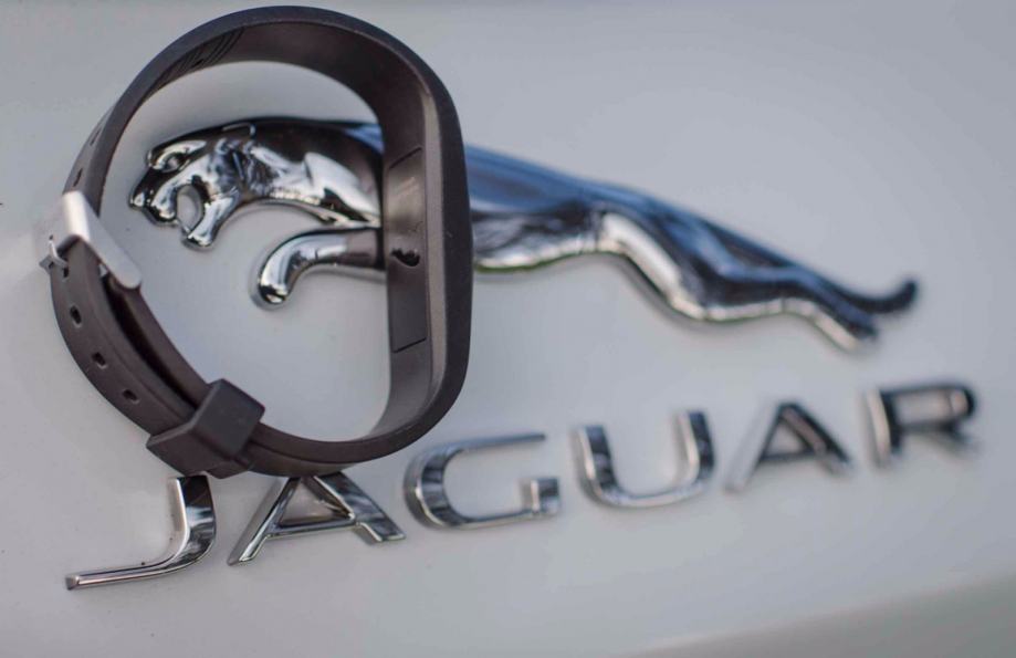 Jaguar activity key