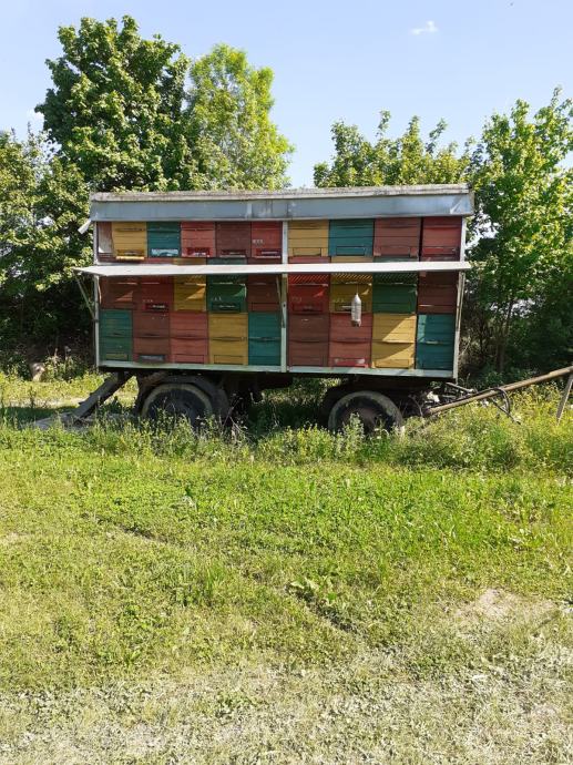 Kamionska prikolica sa 56 AŽ košnica i 11 zajednica pčela