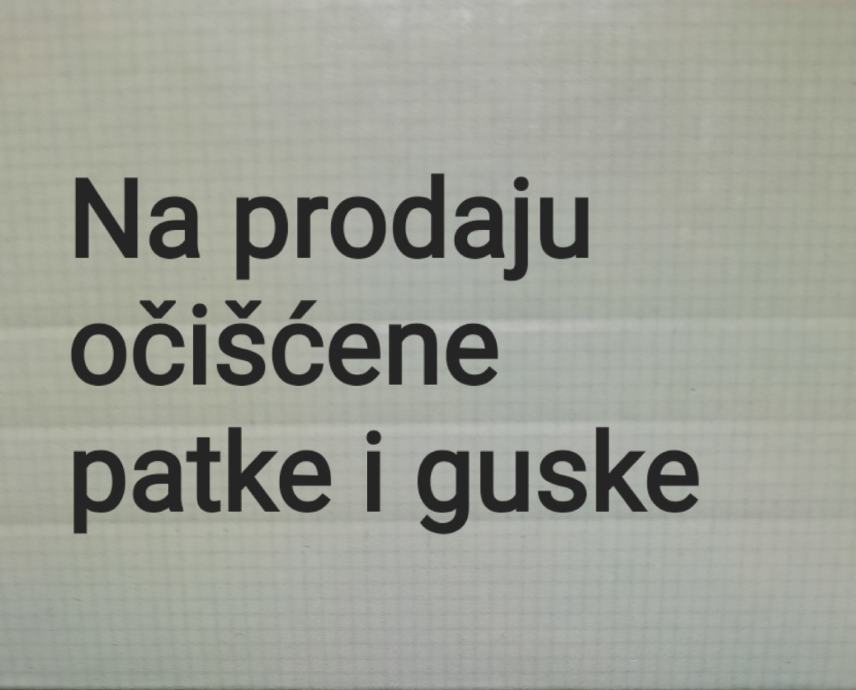 Očišćene patke i guske