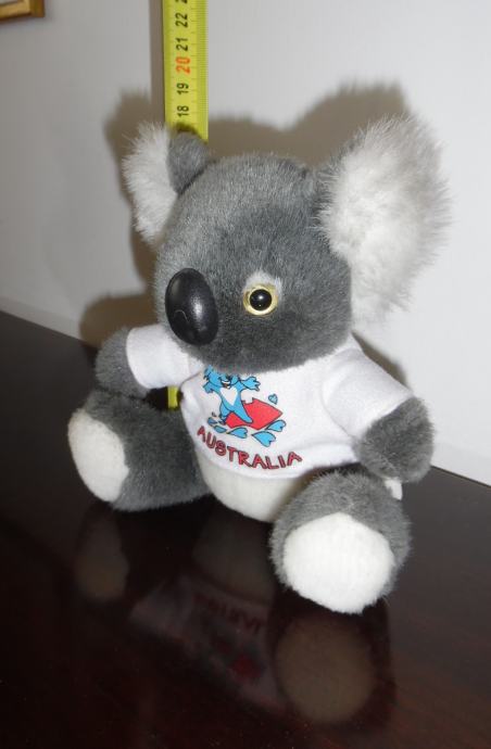 Koala - Australija