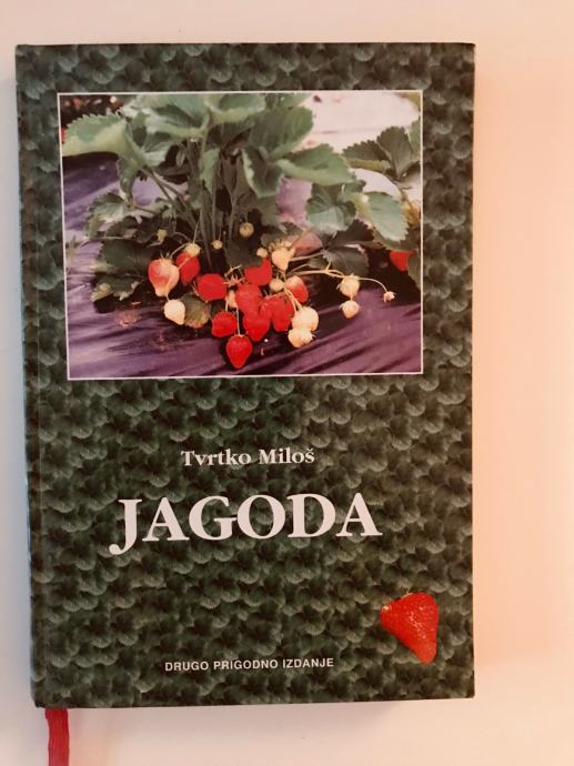 Tvrtko Miloš: Jagoda