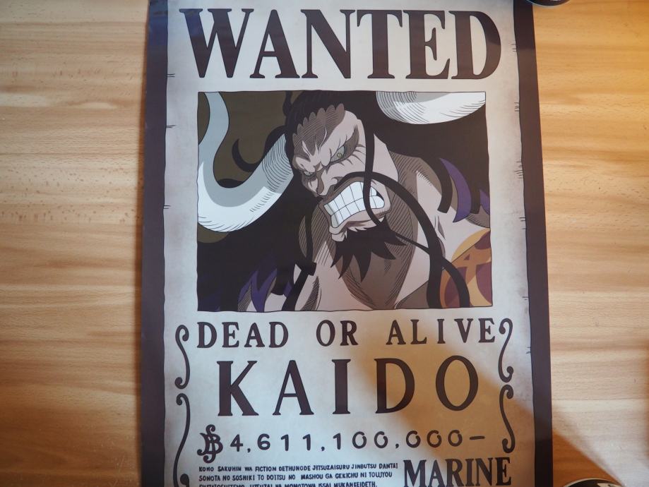 One Piece Poster Kaido 52 x 38 cm - Novo