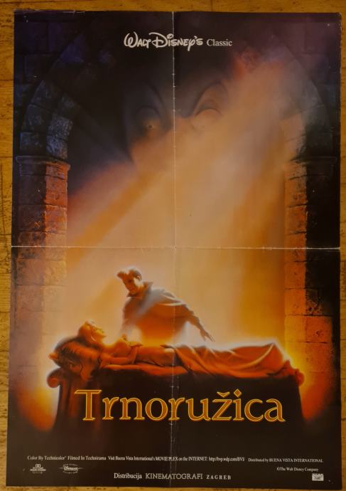 PLAKAT - TRNORUŽICA