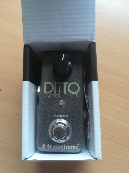 TC Electronix Ditto Looper