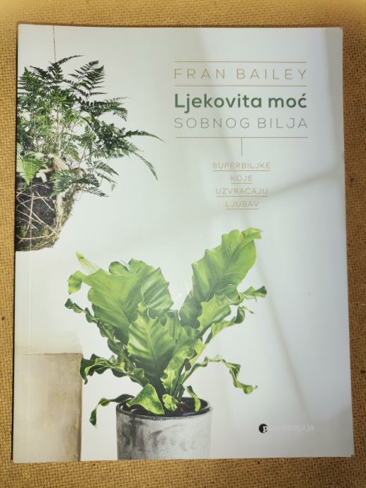 Ljekovita moć sobnog bilja