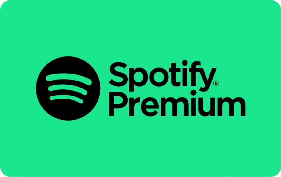 Spotify premium 10 mjeseci