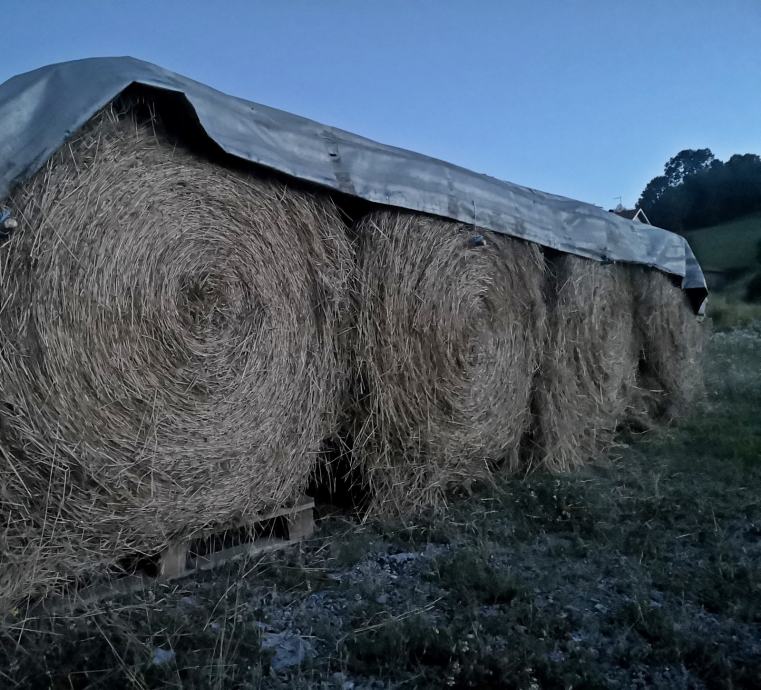 Rolo bale (odlično miješano sijeno) | Mogućnost dostave