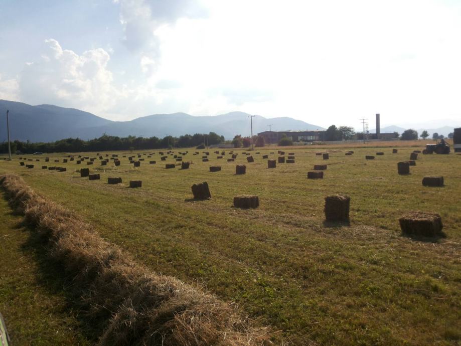 sijeno balirano u kockastim balama