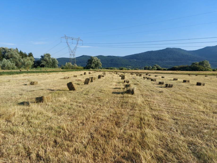 SIJENO balirano u koskaste bale