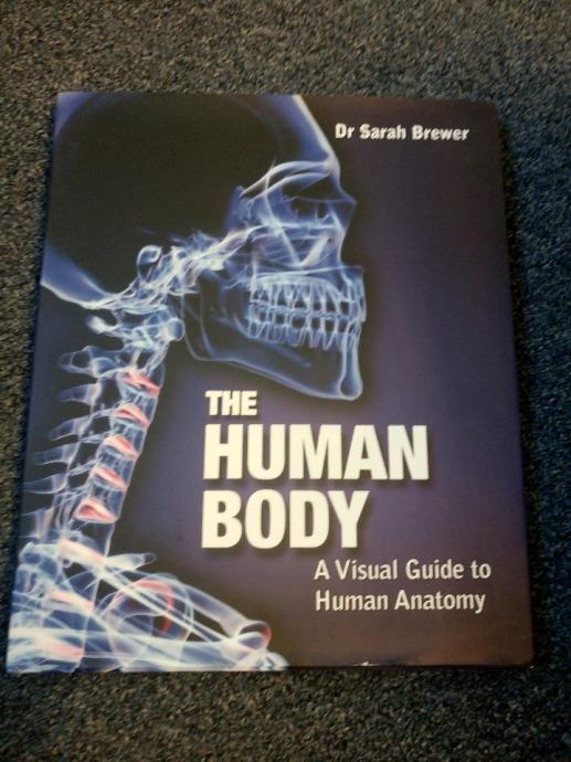 The Human Body : A Visual Guide to Human Anatomy - Sarah Brewer