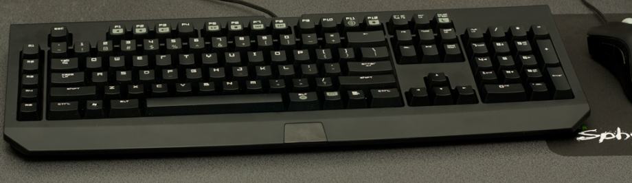 Razer BlackWidow Expert 2013 Cherry MX Blue switch - 350kn !