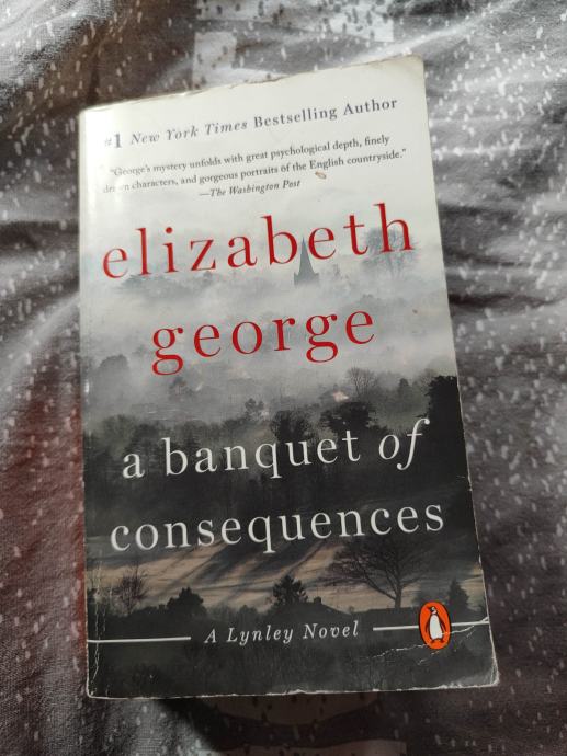 A Banquet Of Consequences, Elizabeth George