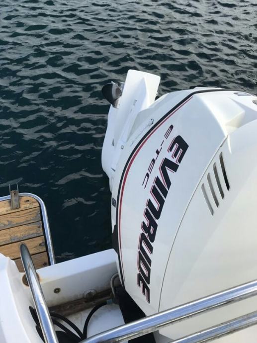 Evinrude E-TEC 115