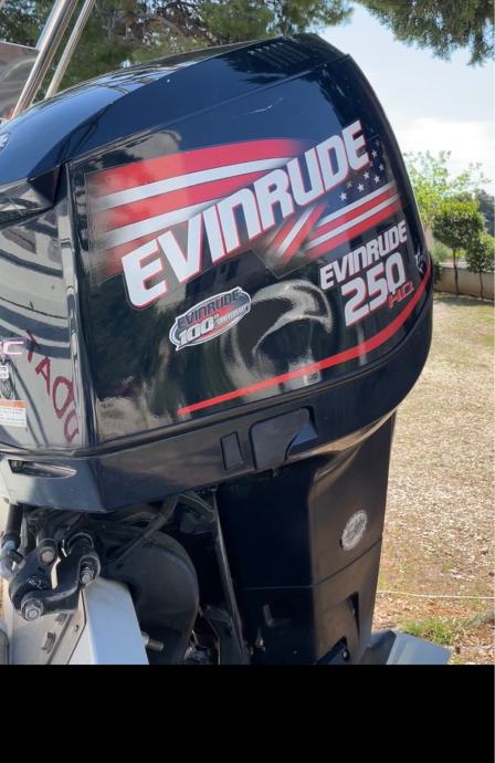 Evinrude e tec 250ho