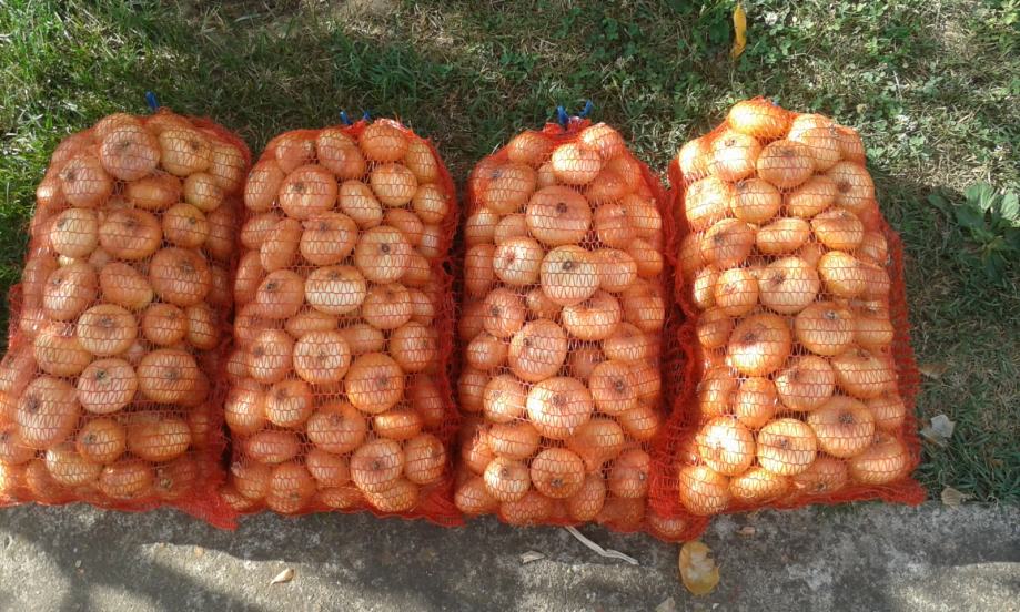 **Crveni luk pogačar  **3kn/kg**