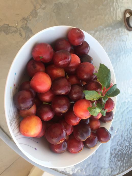 Mermelda od šljive amule i sirup, plod