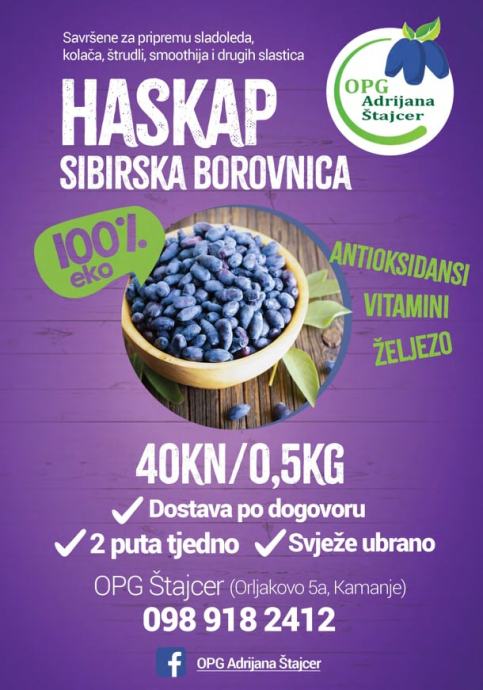 Sibirska Borovnica - Haskap