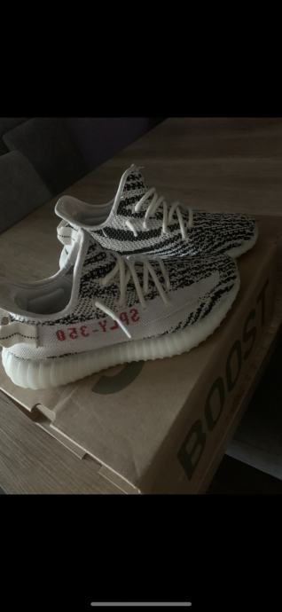 adidas yeezy zebra