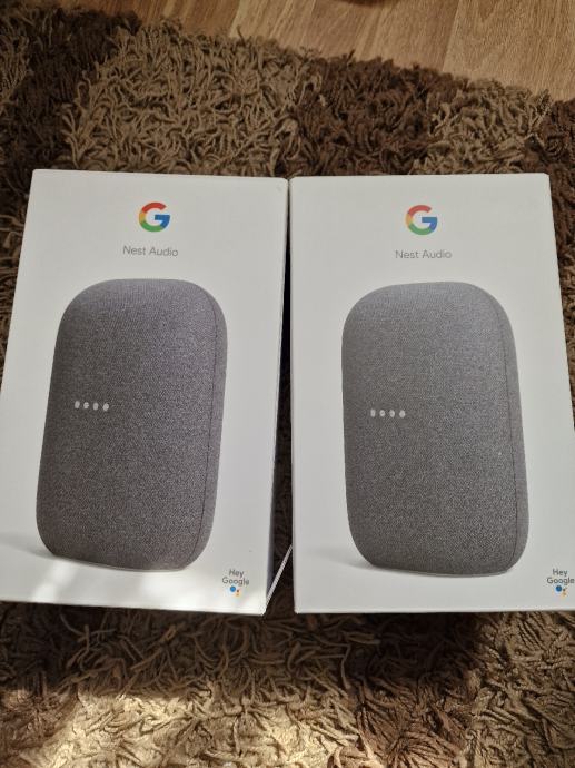 Google nest audio